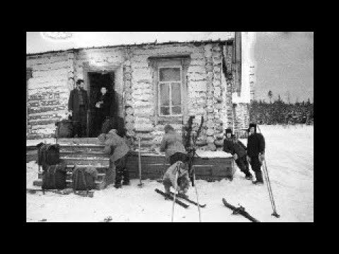 Видео: Ответы на вопросы в прямом эфире. Как погибла гр. Дятлова?  16.12.2023 19.00 Мск.
