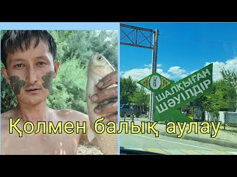 Видео: Шымкент. Қолмен балық аулау
