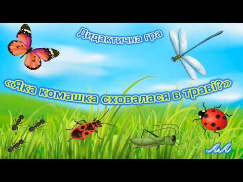 Видео: Ознайомлення із соціумом та Дитина у світі природи "Куди ховаються комахи восени?"