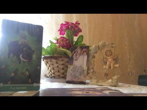 Видео: Седмична прогноза - Работа