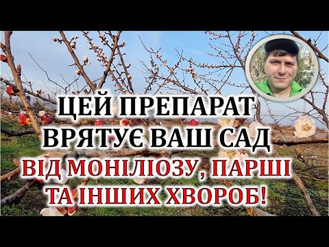 Видео: Цей препарат врятує ваш сад від моніліозу, парші та інших хвороб!