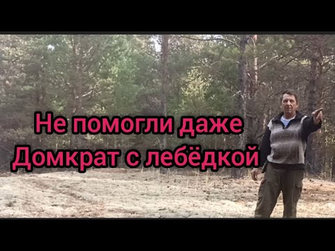 Видео: И сново урочище,нашол металл не помогли даже домкрат с лебёдкой #металлокоп2023 #металлолом #метал