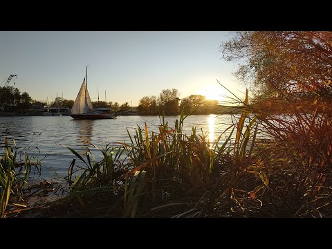 Видео: Рыбалка, второй выезд и первая рыба. №2