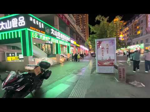 Видео: Вот он Китай. Смотрю цены. Китай весь в огнях. Мошкара атакует)). Дальнобой.