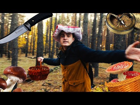 Видео: УРОКИ ГРИБНИКА
