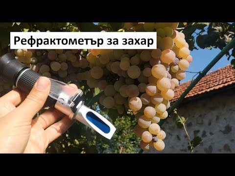 Видео: Рефрактометър за захар