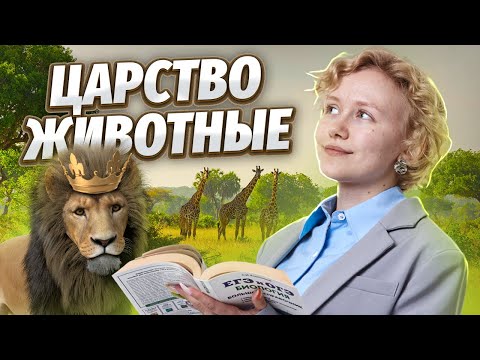 Видео: Царство животные | Что нужно знать для ОГЭ?