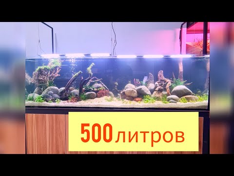 Видео: Запуск 500 литров/Травник/На питательной подложке