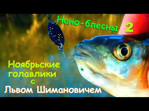 Видео: Нано-блесны 2.  Ноябрьские голавлики с Львом Шимановичем