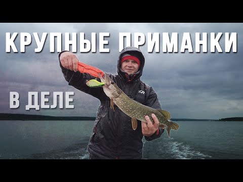 Видео: Крупные приманки в деле.  Разловил новые джерки.