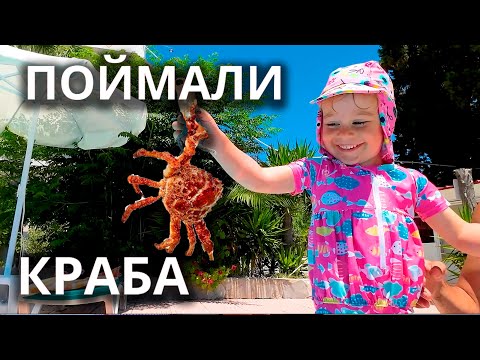 Видео: VLOG: ЦЕНЫ В ГРЕЧЕСКОМ СУПЕРМАРКЕТЕ. ПОЙМАЛИ ЛЯГУШКУ И КРАБА! РОДОС 2025.