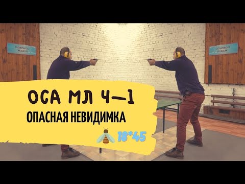 Видео: Опасная невидимка. Пистолет Оса МЛ 4-1.