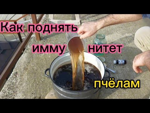 Видео: Как поднять иммунитет пчёлам.