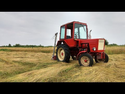 Видео: сінокіс сегментною польською косаркою на т 25