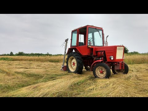 Видео: сінокіс сегментною польською косаркою на т 25