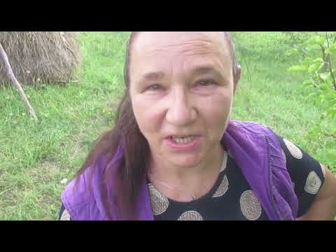 Видео: Вся правда о посадке картошки под сено...