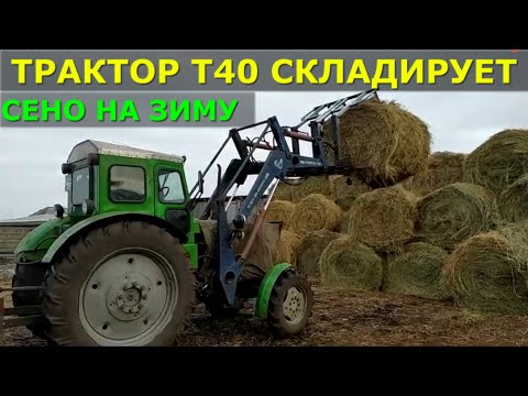 Видео: Трактор Т 40 возит грузит сено на зиму. Обзор техники у фермера.