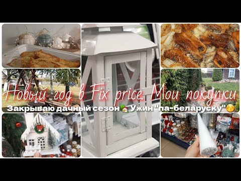 Видео: Новый год в FIX PRICE🌲ПОКУПКИ🤗Дела на дачном участке🌼Ужин "па-беларуску"😚👌