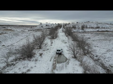 Видео: Охота на зайца. Открытие 2025 года