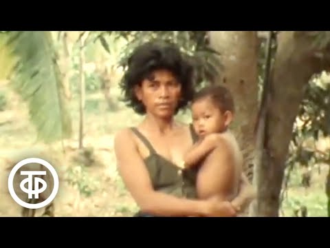Видео: Весна в Пномпене. Документальный фильм (1979)