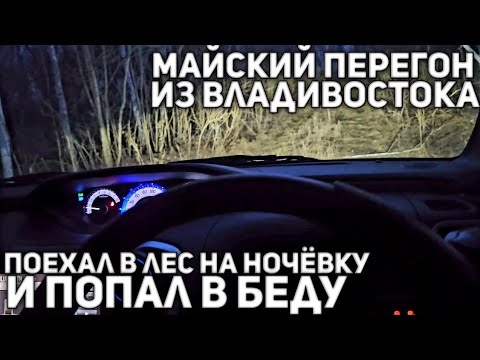 Видео: ОДИН В ПЕРЕГОНЕ ИЗ ВЛАДИВОСТОКА! ЗРЯ Я РЕШИЛ ПЕРЕНОЧЕВАТЬ В ЛЕСУ(((