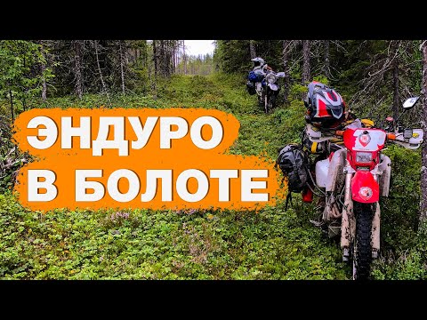 Видео: #Яреньга где-то рядом. Другой онежский на мотоциклах. Часть первая
