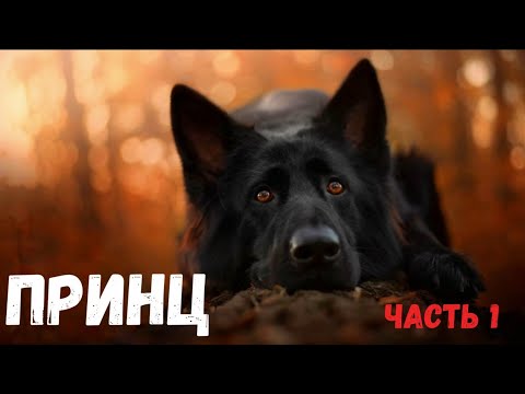 Видео: Принц. Страшная история.