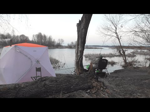 Видео: ФИДЕР РАННЕЙ ВЕСНОЙ! Днём тепло, ночью мороз! Ловля белой рыбы на коротке!