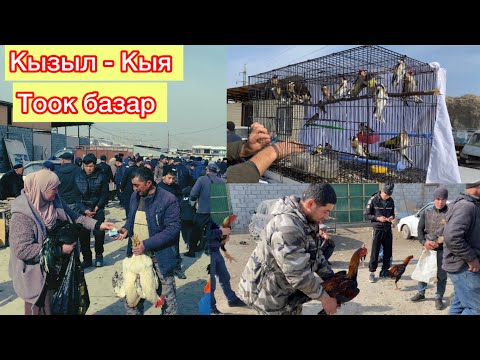 Видео: Тоок базар Кызыл-Кыя 23-Февраль