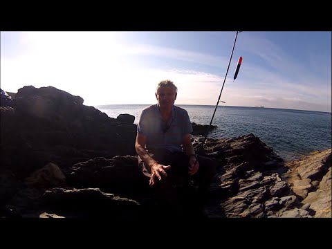 Видео: Летняя поплавочная ловля скумбрии – отличное развлечение под утренним солнцем