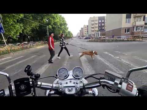 Видео: Расходы после покупки Honda Magna750v45