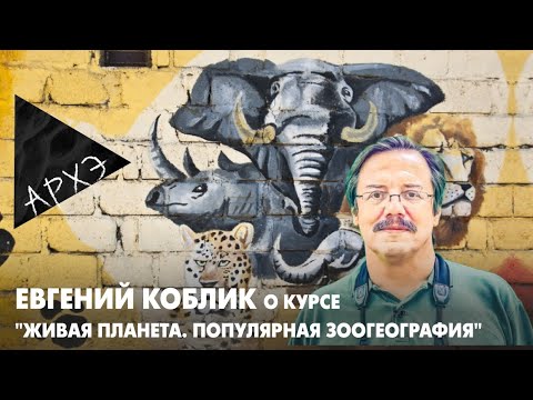 Видео: Евгений Коблик: Курс "Живая планета. Популярная зоогеография"