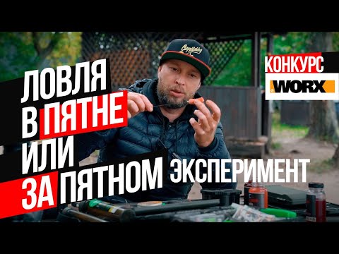 Видео: Где ЛОВИТЬ КАРПА? В ПЯТНЕ 🆚 ЗА ПЯТНОМ? Эксперимент!💥РОЗЫГРЫШ кофты с ПОДОГРЕВОМ и ФОНАРЯ от WORX!