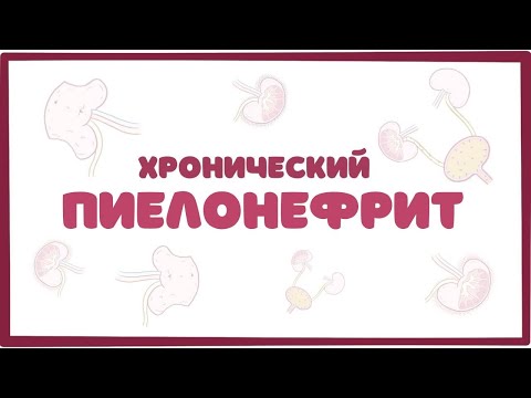 Видео: Хронический пиелонефрит - причины, симптомы, терапия (лекция)