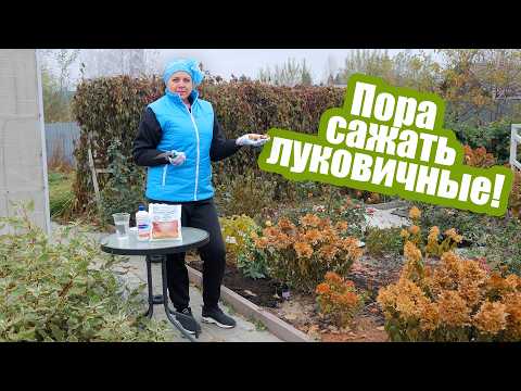 Видео: Посадка луковичных цветов осенью. Сажаем тюльпаны, лилии и нарциссы!