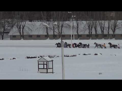 Видео: Московский ипподром. Бега. 25.02.18. Заезд 8(96). ПРИЗ ИМЕНИ НОВОТОМНИКОВСКОГО КОННОГО ЗАВОДА