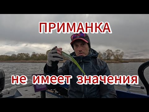 Видео: Приманка не имеет значения?!