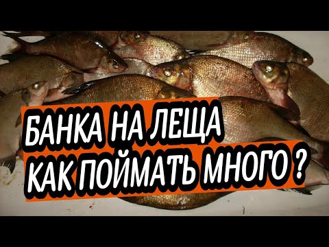 Видео: Снасть БАНКА НА ЛЕЩА изготовление. РЫБАЛКА НА РЕКЕ