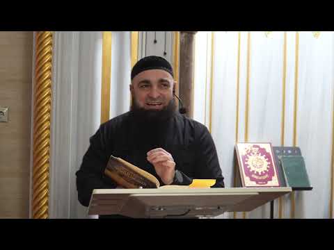 Видео: Джурайджах лаьцна дийцар. 17.10.25шо