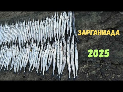 Видео: "БРУТАЛЕН РИБОЛОВ на ЗАРГАНИ на ДЖИГ! 🎣 | Най-Силния Риболов за Този Сезон"