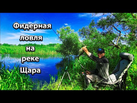 Видео: Утреняя рыбалка на реке Щара.