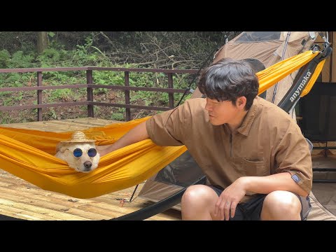 Видео: Сольный кемпинг с собакой и гаммой в глубоком лесу