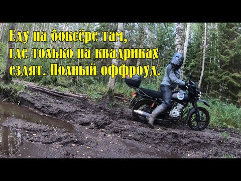 Видео: Езда на Bajaj Boxer BM150X по полному бездорожью. Там ездят только на квадроциклах. Смог ли боксёр?