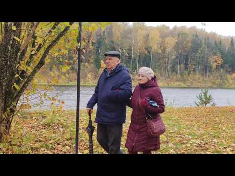 Видео: "Жёлтый листок" стихотворение Владимира Морозова, читает автор