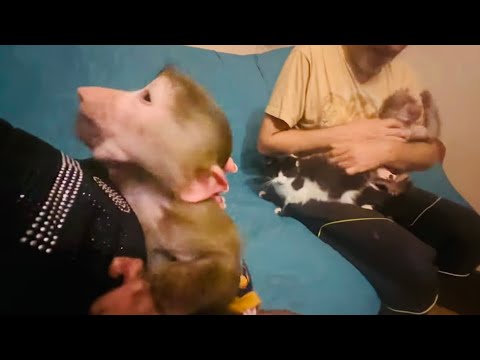 Видео: Манечка стало полегче, но она не отходит от меня сутками ни на минуту!