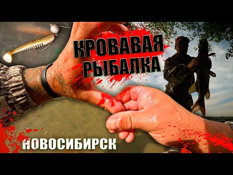 Видео: Береговая рыбалка на ДЖИГ в НОВОСИБИРСКЕ, получилась кровопролитной...