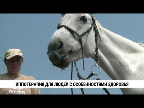 Видео: Иппотерапия для людей с особенностями здоровья