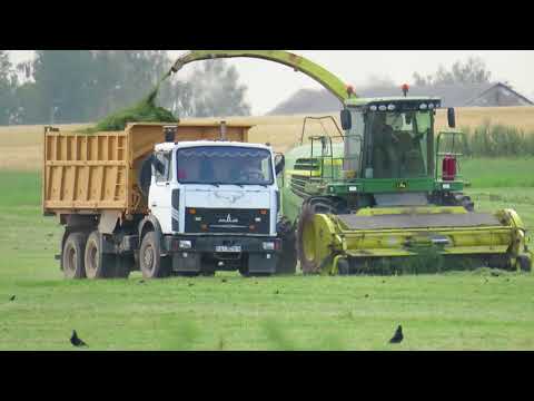 Видео: [Уборка трав] МТЗ 3022, 952, John Deere 7480, МАЗ 5516, 5551
