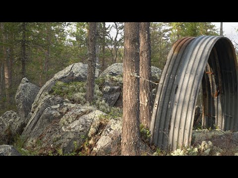 Видео: Полярный круг, один в лесу 10-12й день. 1941-1945-WWII Metal Detecting