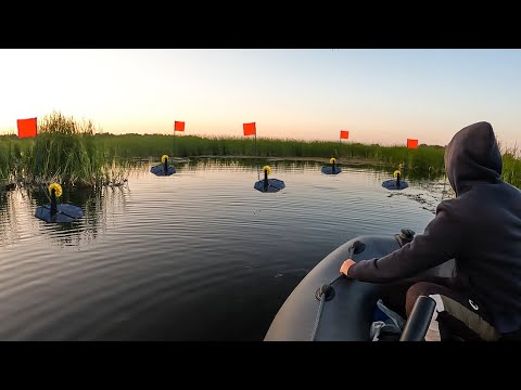 Видео: Руки дрожали от увиденного! Когда начал проверять жерлицы.. Таких монстров я еще не ловил.